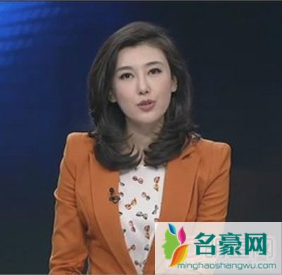 网传李红主持人的性丑绯闻真假? 李红美腿低胸图片+个人资料