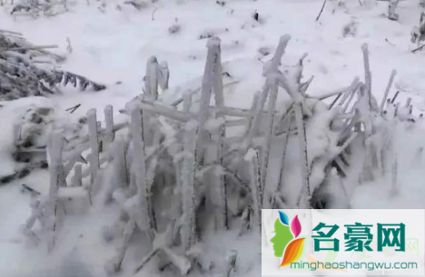 武汉12月份哪天有雪20204