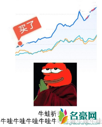 基金牛蛙什么梗9