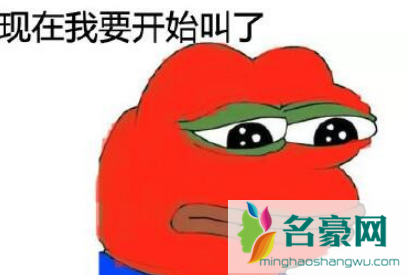 基金牛蛙什么梗5