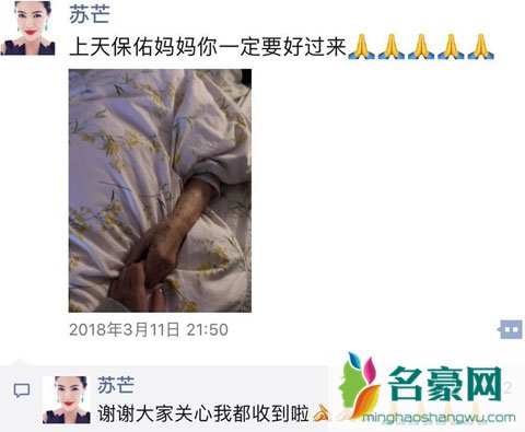 时尚女王苏芒因家人辞去总裁职位 网友关注芭莎慈善是否会继续