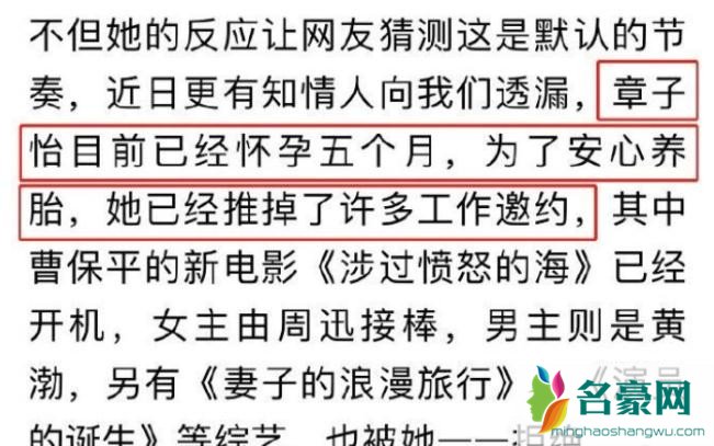 章子怡被爆怀孕5个月