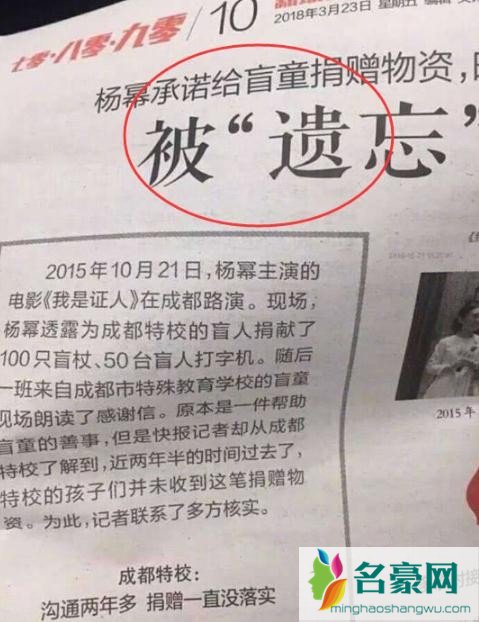 杨幂诈捐风波