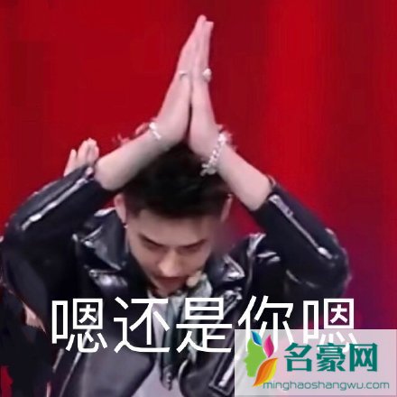 吴亦凡太嗯了是什么意思 吴亦凡太嗯了表情包分享