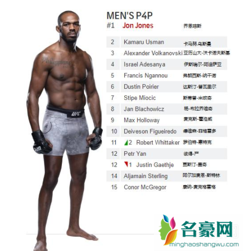 UFC是什么意思 UFC排名最新2021