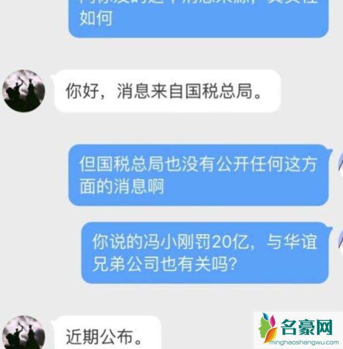 冯小刚被罚20亿