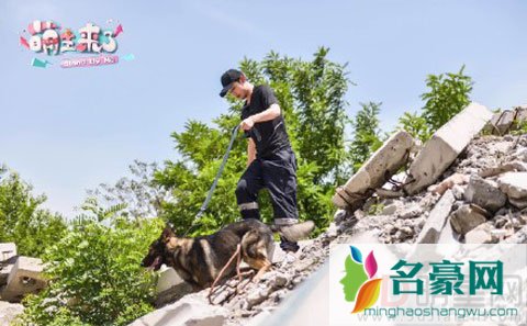 《萌主来了》当张继科遇上搜救犬科科 叶一茜小亮仔张歆艺画风迥异