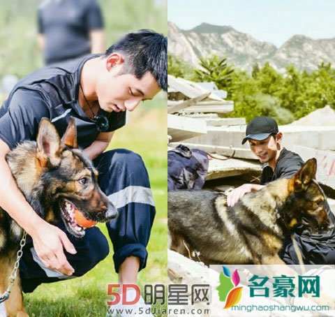 《萌主来了》当张继科遇上搜救犬科科 叶一茜小亮仔张歆艺画风迥异