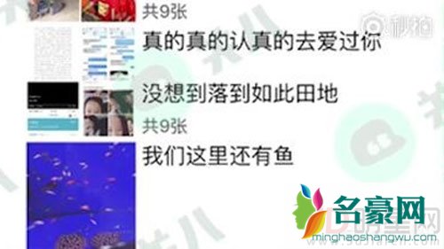 曝刘洲成林苗一起去水族馆 两人这是破镜重圆吗