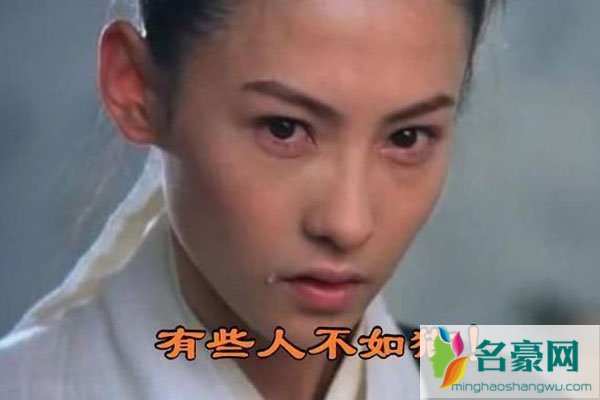 张柏芝谢霆锋复合2018 他俩之间再金童玉女也还隔着王菲