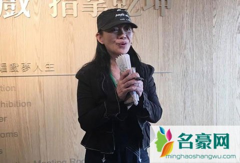 狄莺儿子被捕后姐姐受采访 没想暴露自己未婚生子的新闻