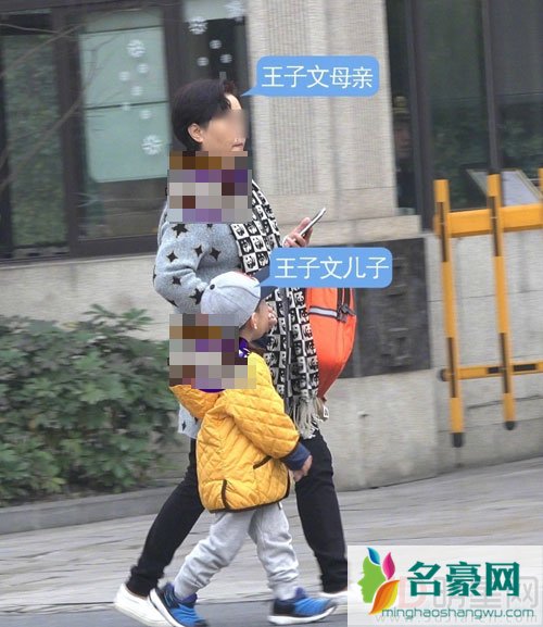 曝王子文已婚有子 儿子照片流出