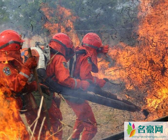 四川凉山火灾灭火现场