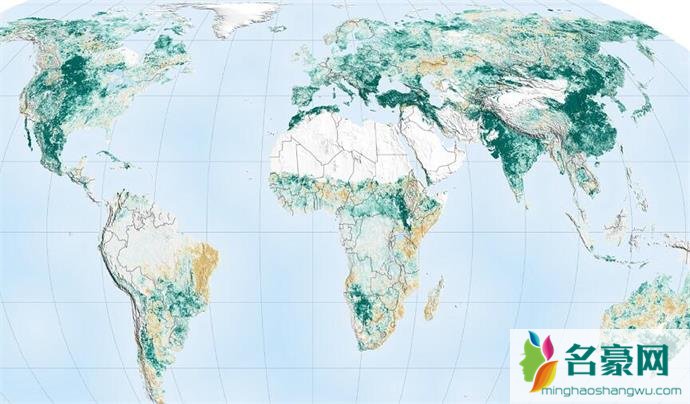地球绿叶面积