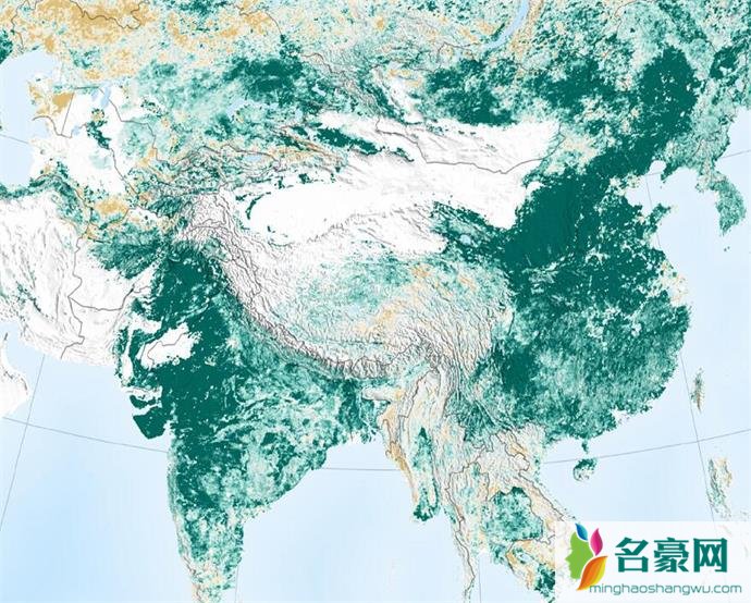 地球比20年前更绿