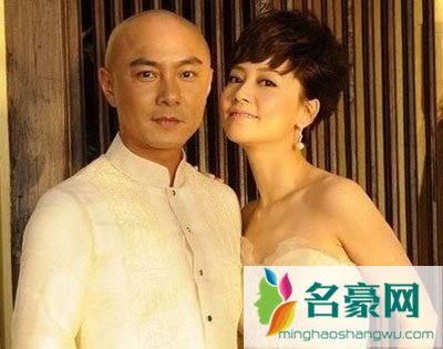 张卫健老婆怀孕流产原因 曝张卫健老婆再怀孕了吗