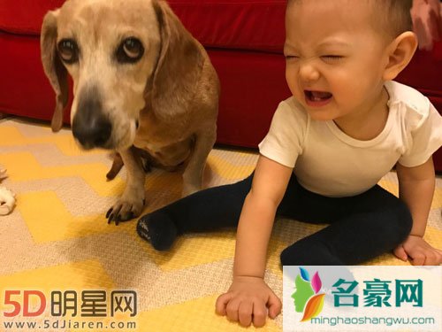 张梓琳怀抱女儿爱犬 眯眼微笑愿望