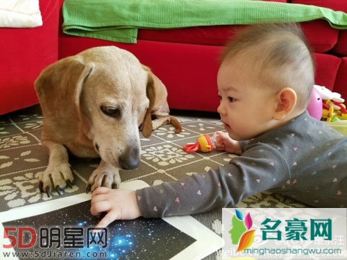 张梓琳怀抱女儿爱犬 眯眼微笑愿望