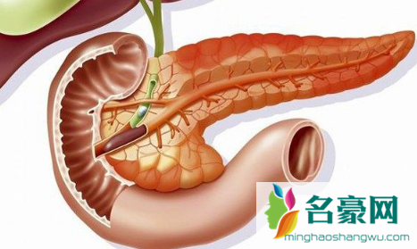 近期急性胰腺炎多发年轻人居多3