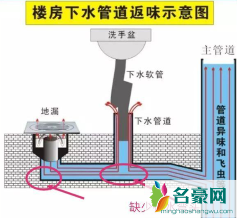 卫生间除臭用什么最好3