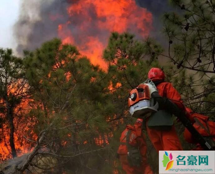 凉山火场最新动态