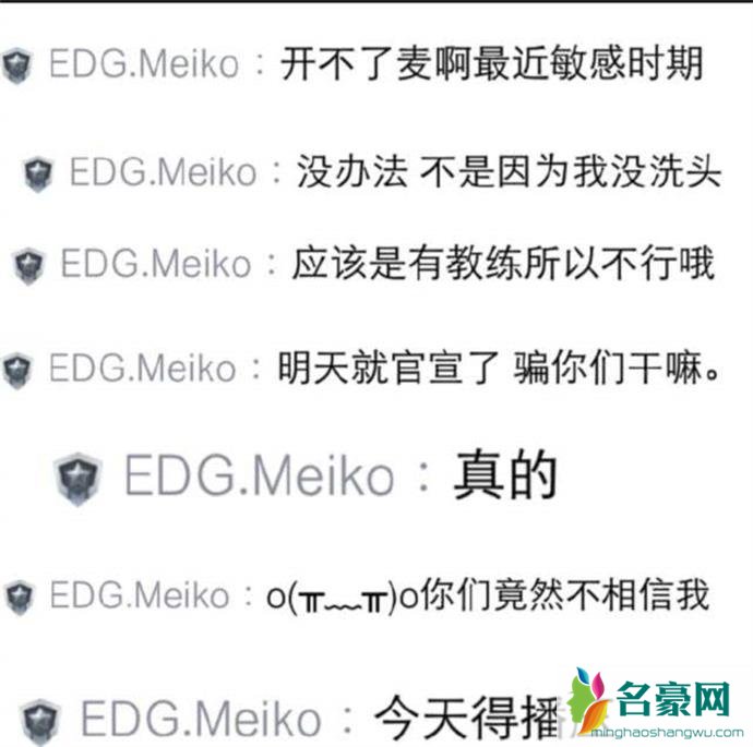 EDGMeiko言论