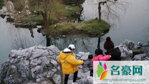 邓超孙俪幸福一家出游 邓超打赏女主播遭妻子发飙