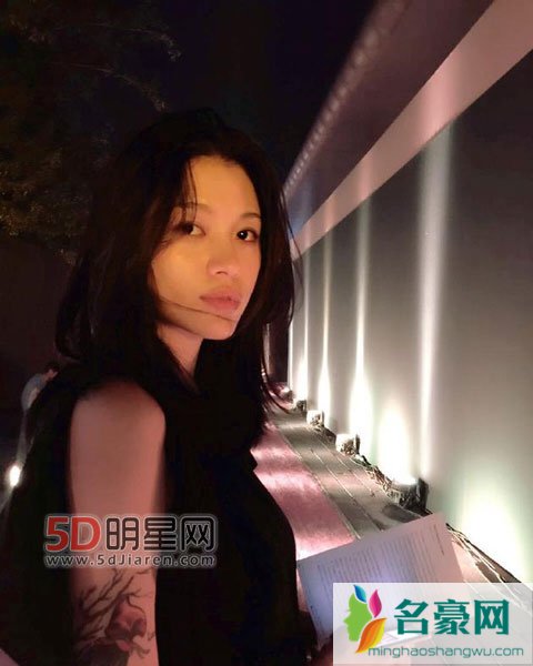 葛荟婕喊话汪峰躲在女人背后 假装自己是好父亲