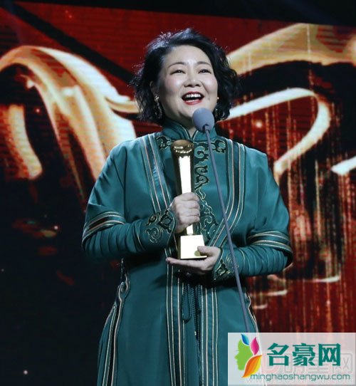 中国电视好演员完整获奖名单 胡歌马苏拿下绿宝石奖