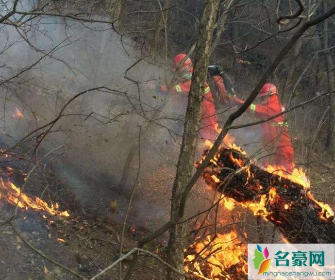 四川大凉山森林为什么突然着火