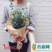 男人吃醋和嫉妒的表现，男人疯狂占有你是吃醋吗