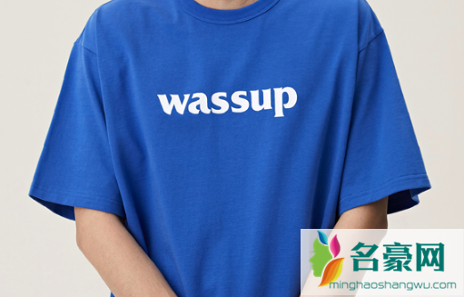 为什么这么多人喷wassup3