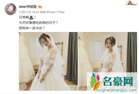 曾经饰演巴拉拉小魔仙孙侨潞结婚 孙侨潞个人资料