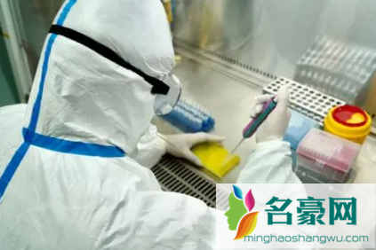 2022春节去上海需要做核酸检测吗3