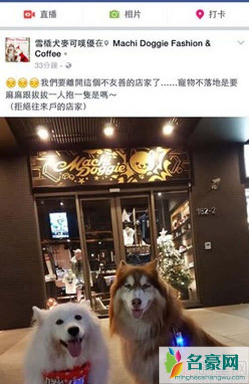 昆凌餐厅遭网友抱怨 只因不叫宠物落地