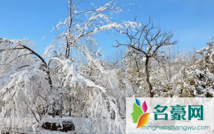 2022年南京过年下雪吗3