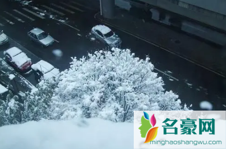 2022年南京过年下雪吗1