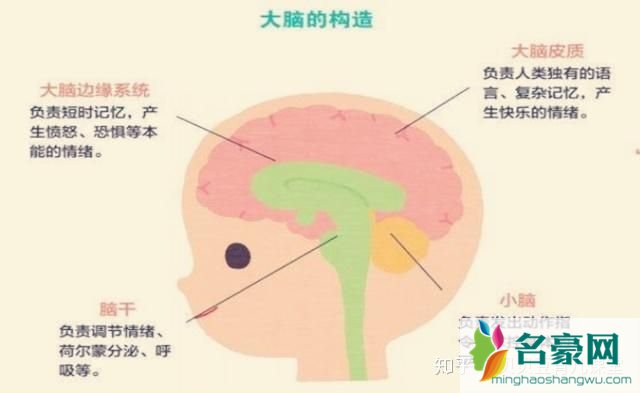 小孩有前世记忆，还能看到大人看不到的东西，是真是假？