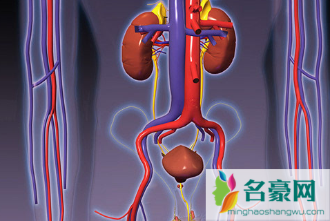 肾结晶可以排出来吗3