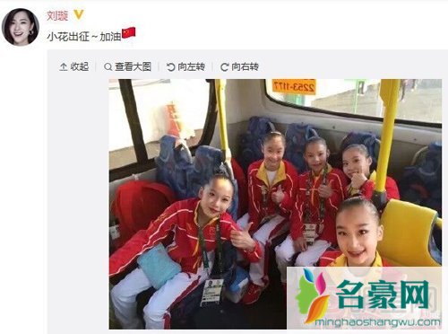 刘璇斥里约奥运会裁判 体操女团遭遇不公平对待