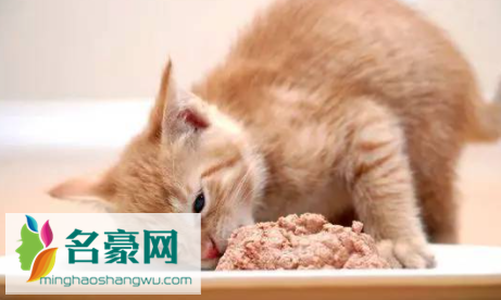 猫咪吃鸡胸肉多久一次1