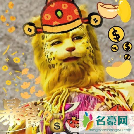 金钱豹头像是什么梗6