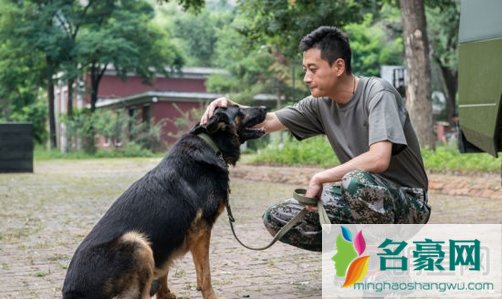 神犬奇兵演员夏凡个人资料作品 夏凡神犬奇兵剧照