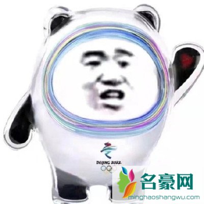 冰墩墩表情包可爱图片202110