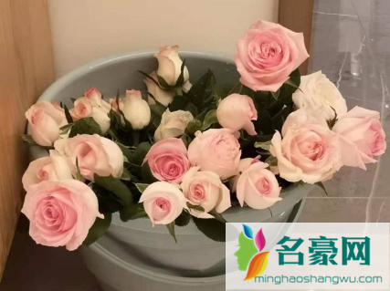 醒花可以多种花放一起吗2