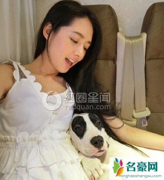 郭碧婷与爱犬自拍