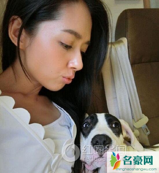 郭碧婷与爱犬自拍