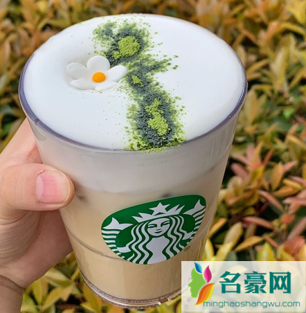 星巴克山茶花漾拿铁多少钱一杯1