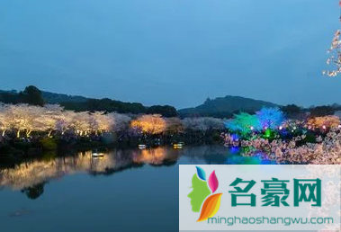 武汉东湖夜樱几点开灯20222