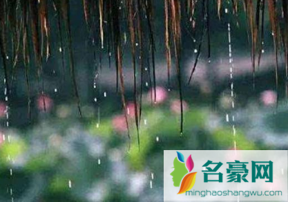 2022年深圳梅雨季节是什么时间2